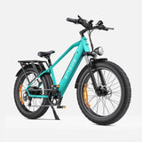 Ebike ENGWE E26 250W 140KM GARANZIA ITALIA Bici a pedalata assistita