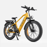 Ebike ENGWE E26 250W 140KM GARANZIA ITALIA Bici a pedalata assistita