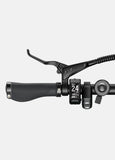 Ebike ENGWE P20 250W 100km GARANZIA ITALIA