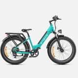 Ebike ENGWE E26 250W 140KM GARANZIA ITALIA Bici a pedalata assistita