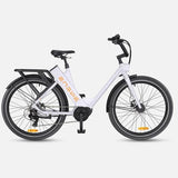 Ebike ENGWE E275 ST 250W 260 KM GARANZIA ITALIA Bici a pedalata assistita con motore centrale e sensore di coppia Ananda