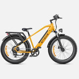 Ebike ENGWE E26 250W 140KM GARANZIA ITALIA Bici a pedalata assistita