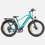 Ebike ENGWE E26 250W 140KM GARANZIA ITALIA Bici a pedalata assistita