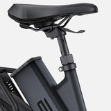 Ebike ENGWE P275 ST 250W 260 KM GARANZIA ITALIA Bici a pedalata assistita con motore centrale e sensore di coppia Ananda