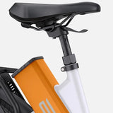 Ebike ENGWE P275 ST 250W 260 KM GARANZIA ITALIA Bici a pedalata assistita con motore centrale e sensore di coppia Ananda