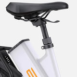 Ebike ENGWE E275 ST 250W 260 KM GARANZIA ITALIA Bici a pedalata assistita con motore centrale e sensore di coppia Ananda