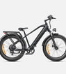 Ebike ENGWE E26 250W 140KM GARANZIA ITALIA Bici a pedalata assistita