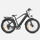 Ebike ENGWE E26 250W 140KM GARANZIA ITALIA Bici a pedalata assistita