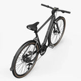Fiido C21 E-gravel & bici elettrica da città
