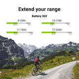BATTERIA EBIKE20STD GREEN CELL  Rear Rack 36V 8.8 Ah 317Wh per Bici Elettrica E-Bike
