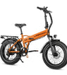 Laifook Cityfun con Batteria 48 V 14 Ah | 250 W | Display LCD | 20 x 4,0 pollici