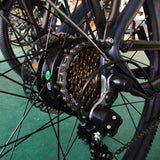 Bicicletta Elettrica DASCH S5