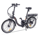 E-BIKE FAFREES 20F054 250W Batteria 10.4Ah 36V Bici a pedalata assistita lunga Autonomia Fafrees
