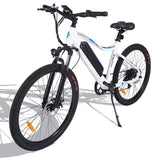 E-BIKE FAFREES F100 Mountain Bike 350W Batteria 11.6Ah 48V Bici a pedalata assistita lunga Autonomia Fafrees