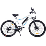 E-BIKE FAFREES F100 Mountain Bike 350W Batteria 11.6Ah 48V Bici a pedalata assistita lunga Autonomia Fafrees