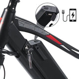 E-BIKE FAFREES F100 Mountain Bike 350W Batteria 11.6Ah 48V Bici a pedalata assistita lunga Autonomia Fafrees