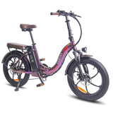 E-BIKE FAFREES F20 PRO new version FAT BIKE 250W Batteria 18Ah 36V Bici a pedalata assistita lunga Autonomia Fafrees