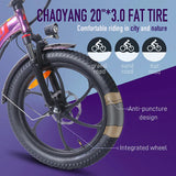 E-BIKE FAFREES F20 PRO new version FAT BIKE 250W Batteria 18Ah 36V Bici a pedalata assistita lunga Autonomia Fafrees