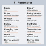 EBIKE Fafrees F1 250W Bicicletta a pedalata assistita tutto2ruote