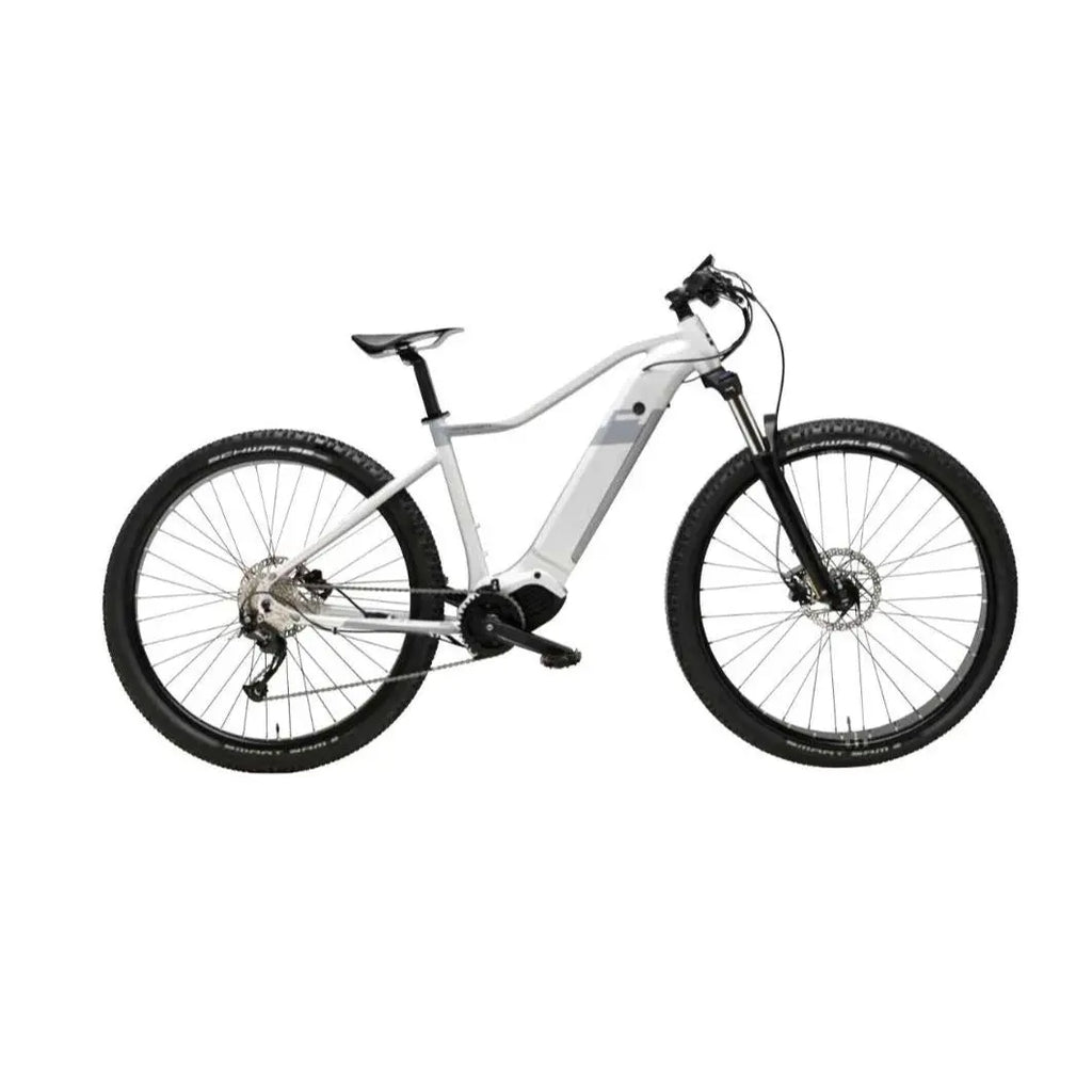 EBIKE RAYON 29'' Batteria 36V-20 AH 720WH | 250Watt | CAMBIO SHIMANO ALIVIO 9V | COMANDI SHIMANO M370 9V | RUOTE MTB DISC STAINLESS SPOKE Massimo Fiori