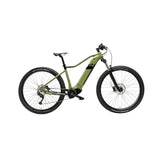 EBIKE RAYON 29'' Batteria 36V-20 AH 720WH | 250Watt | CAMBIO SHIMANO ALIVIO 9V | COMANDI SHIMANO M370 9V | RUOTE MTB DISC STAINLESS SPOKE Massimo Fiori