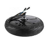 MOTORE NINEBOT Originale 350W compatibile con Ninebot ES1 ES3 ES3 ES4 eWheel