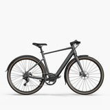 Fiido C21 E-gravel & bici elettrica da città