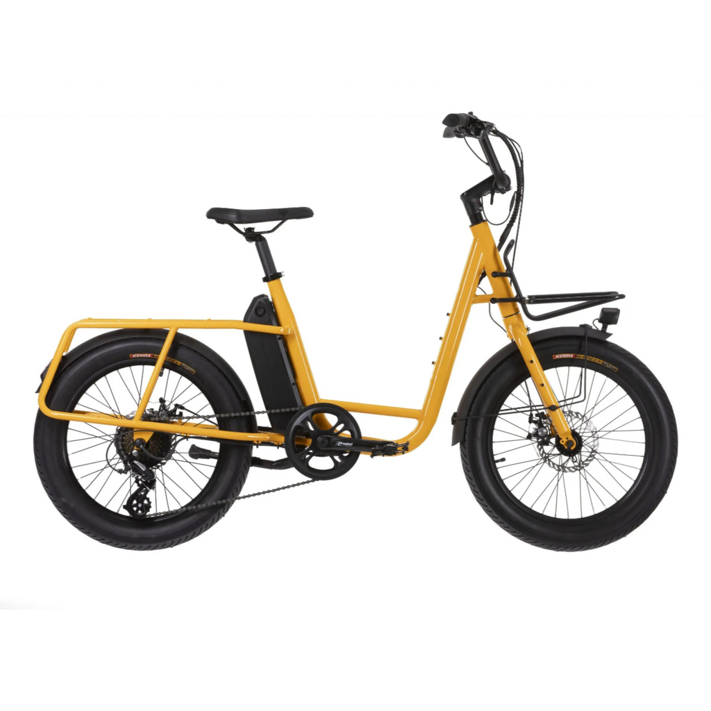 Ebike CARGO SUM UCO STEEL | Bicicletta elettrica 36V 10,4Ah | Freni a disco meccanici | Cambio SHIMANO 7 velocità | ruote MID FAT da 20″ e 3″