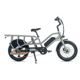 JOBOBIKE TRANSER Bici da carico elettrica per famiglia 48 V 15Ah | 250W XOFO | Autonomia ≥80Km/≥150Km |  CST 20" x 3"