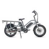 JOBOBIKE TRANSER Bici da carico elettrica per famiglia 48 V 15Ah | 250W XOFO | Autonomia ≥80Km/≥150Km |  CST 20" x 3"