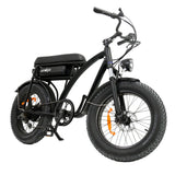 WINDGOO F5 E-BIKE 48V 15Ah | 250W | 75km di Autonomia