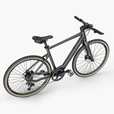 Fiido C21 - Gravel Bici Elettrica Leggera