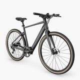 Fiido C21 - Gravel Bici Elettrica Leggera