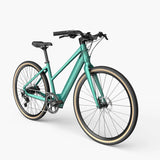 Fiido C21 - Gravel Bici Elettrica Leggera