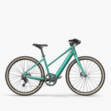 Fiido C21 - Gravel Bici Elettrica Leggera