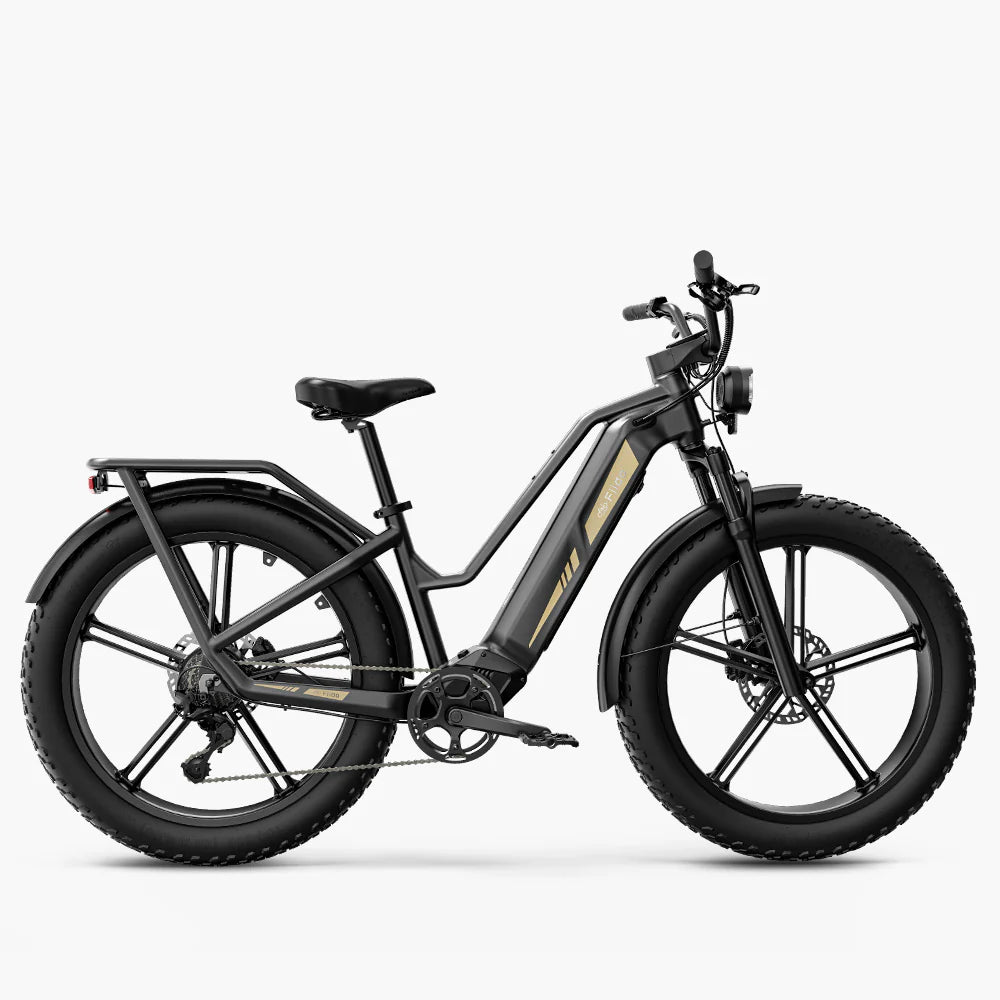 Titan Fat Tire Touring Ebike - Lunga autonomia